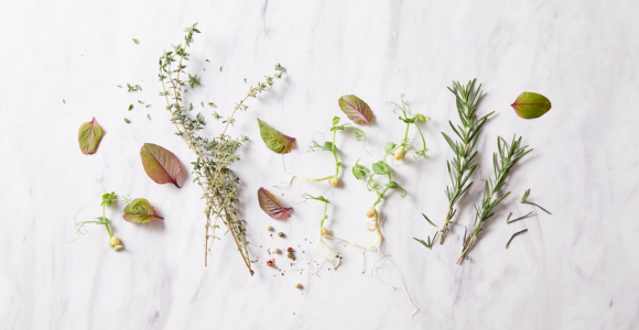 Poznaj top 5 ziół na wsparcie trawienia