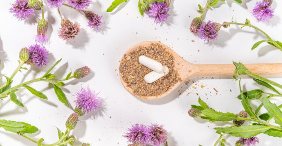 Ostropest plamisty – skład, działanie i rola w ochronie wątroby