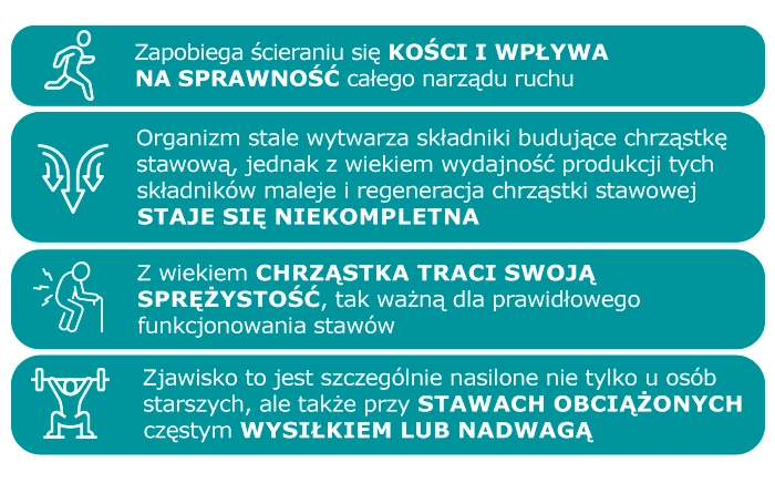 informacje o chrząstce stawowej