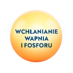 ikona wchłanianie wapnia i fosforu